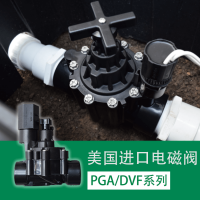 美国入口100DVF电磁阀